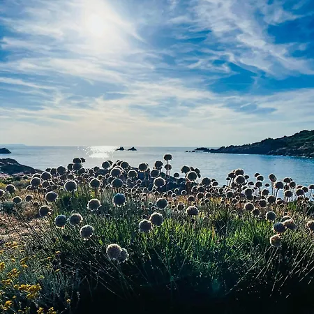 Cosy Sea View And Garden 코스타 파라디소
